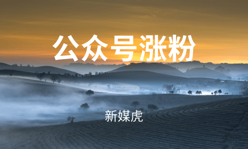 微信公众号涨粉-新媒虎 微信公众号涨粉-新媒虎