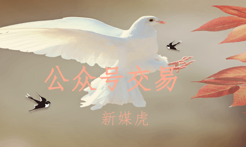 购买微信公众号 购买微信公众号